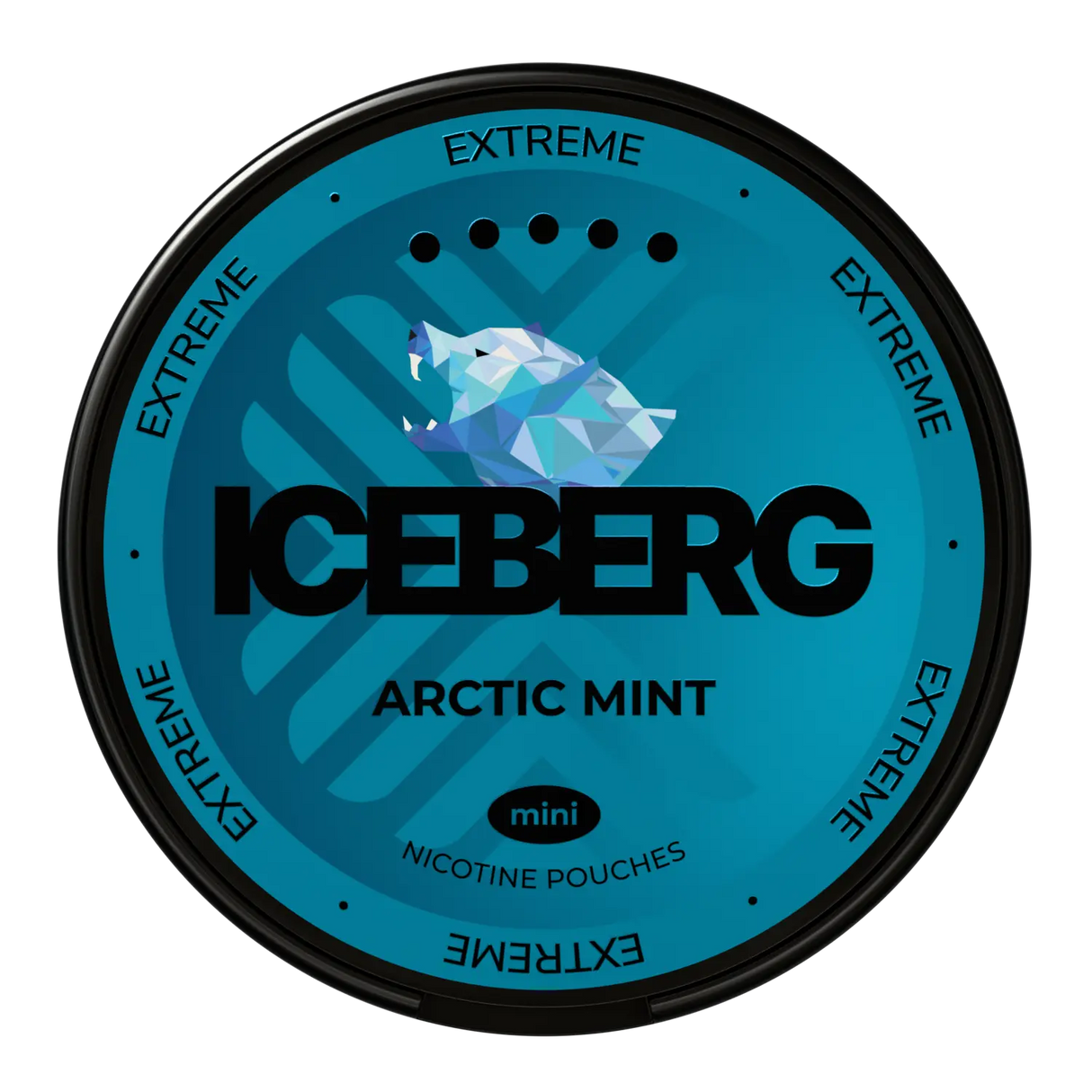 Iceberg Arctic Mint Mini