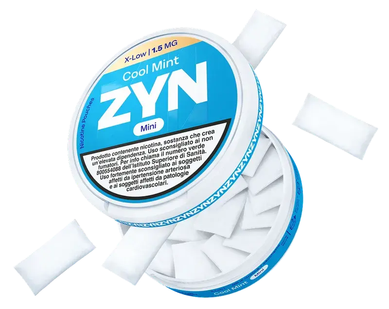 zyn blog post image