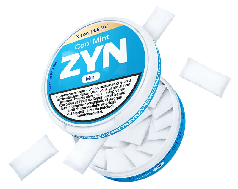 zyn blog post image