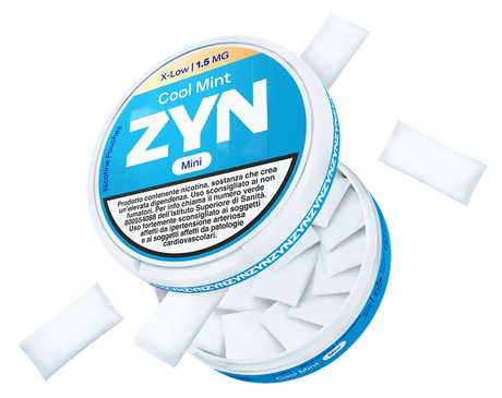 zyn blog post image
