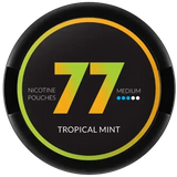 77 Tropical Mint Medium nicotine pouches