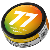 77 Tropical Mint Medium