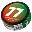 77 Watermelon Ice Medium nicotine pouches