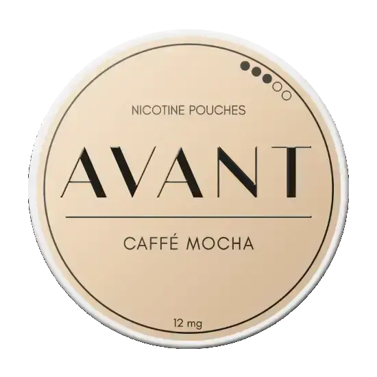 Avant Caffe Mocha Normal