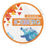 ICEBERG Arasaka