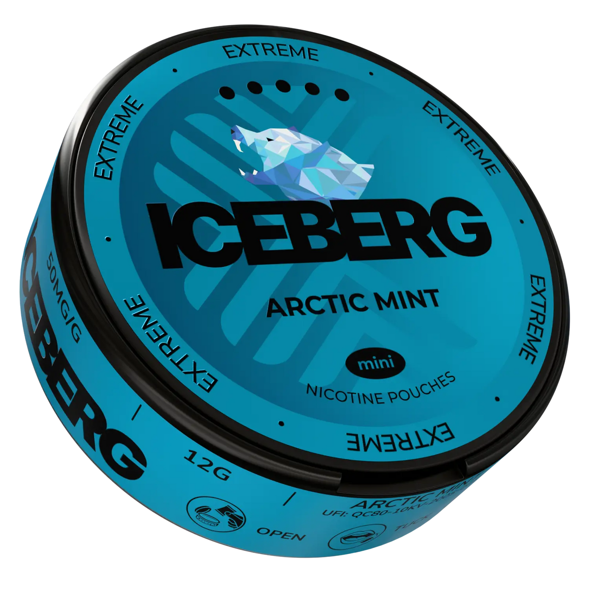 Iceberg Arctic Mint Mini