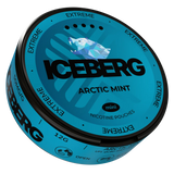 Iceberg Arctic Mint Mini