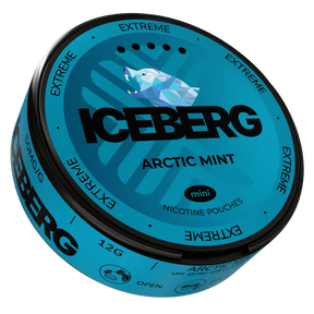 Iceberg Arctic Mint Mini 