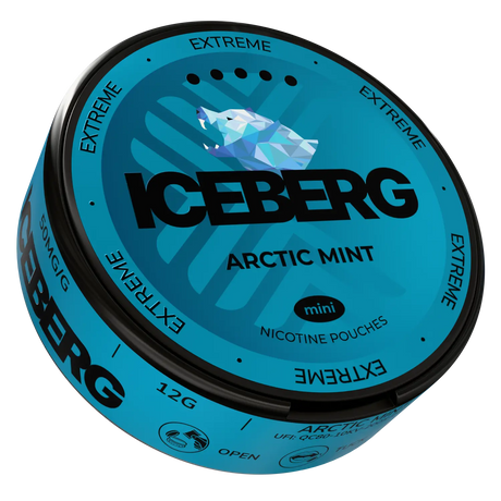 Iceberg Arctic Mint Mini 