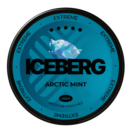 Iceberg Arctic Mint Mini 