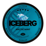 Iceberg Arctic Mint Mini