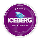 ICEBERG Schwarze Johannisbeere