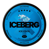 Iceberg Ice Cool Mini