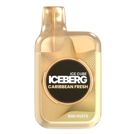 Iceberg Vape Caribbean Fresh 800 Puffs Shop name