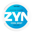 ZYN Cool Mint Mini Dry Strong Shop name