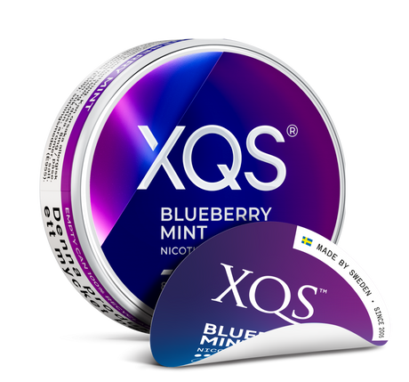 XQS Blueberry Mint nicotine pouches