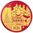 XQS Citrus Burning nicotine pouches