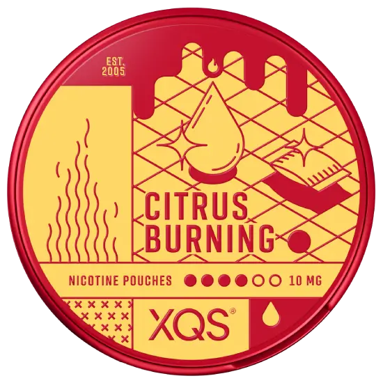 XQS Citrus Burning nicotine pouches