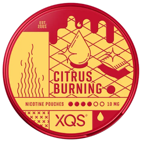 XQS Citrus Burning nicotine pouches