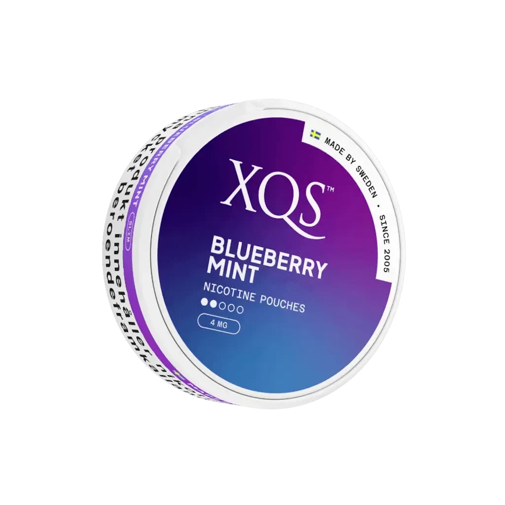 XQS Blueberry Mint Kaupan nimi