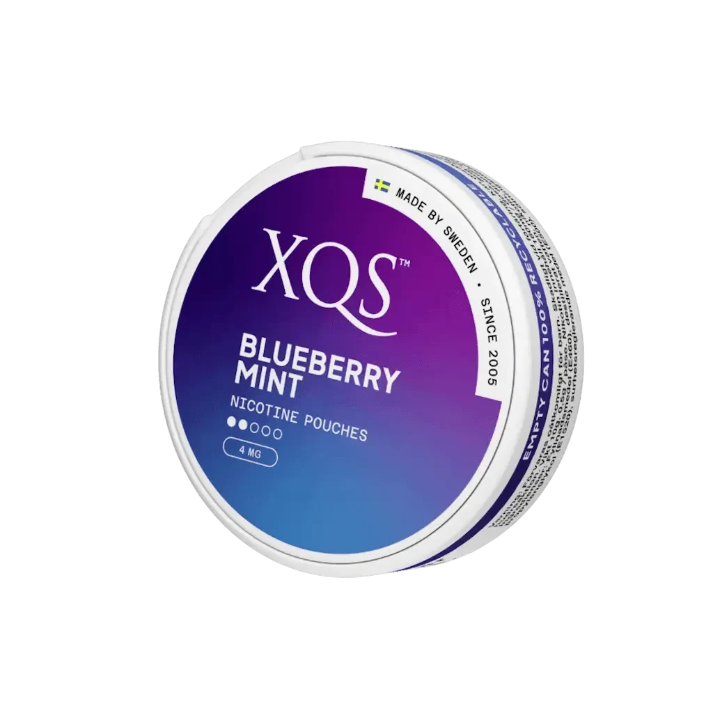 XQS Blueberry Mint Kaupan nimi