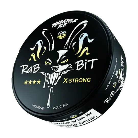Rabbit Pineapple Ice Shop namn